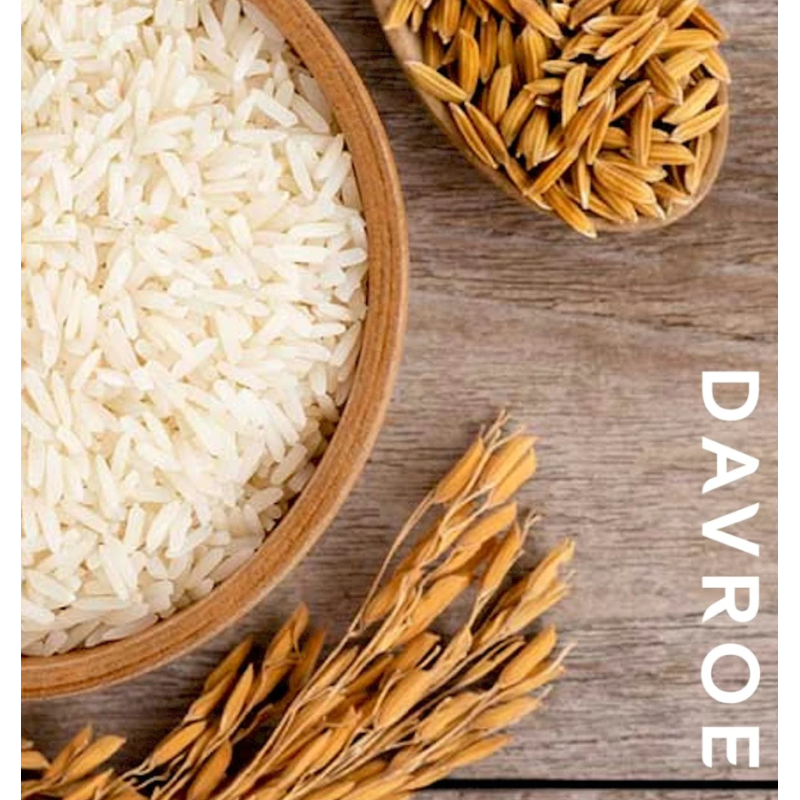 Volume Senses Amplifying Conditioner