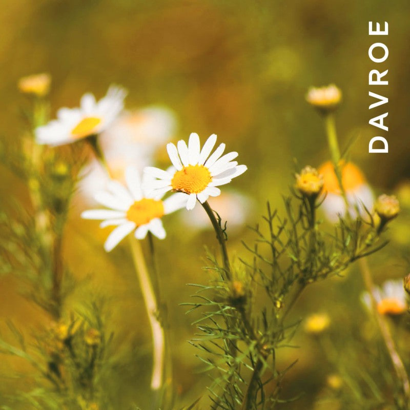 BLONDE SENSES PLATINUM CONDITIONNER