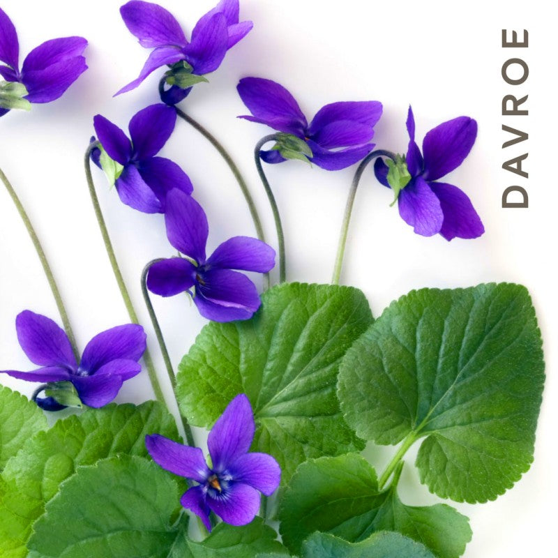 BLONDE SENSES PLATINUM SHAMPOO